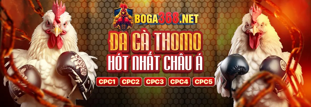 Đá Gà Trực Tuyến Hấp Dẫn tại Ole77 Link Mới